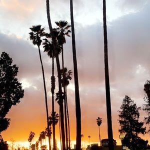 Meet your Posher, Deep